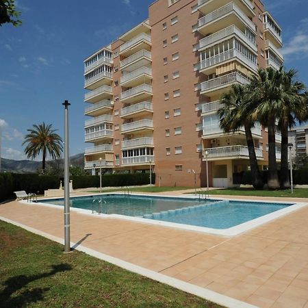 Playasol Orangecosta 1 Dormitorio بينيكاسّين المظهر الخارجي الصورة