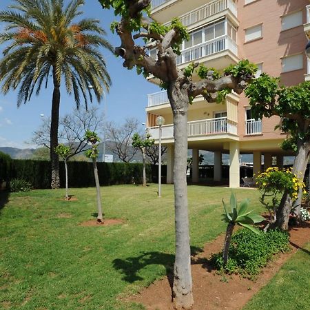 Playasol Orangecosta 1 Dormitorio بينيكاسّين المظهر الخارجي الصورة