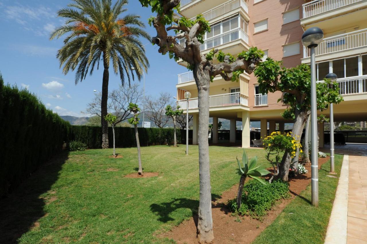 Playasol Orangecosta 1 Dormitorio بينيكاسّين المظهر الخارجي الصورة